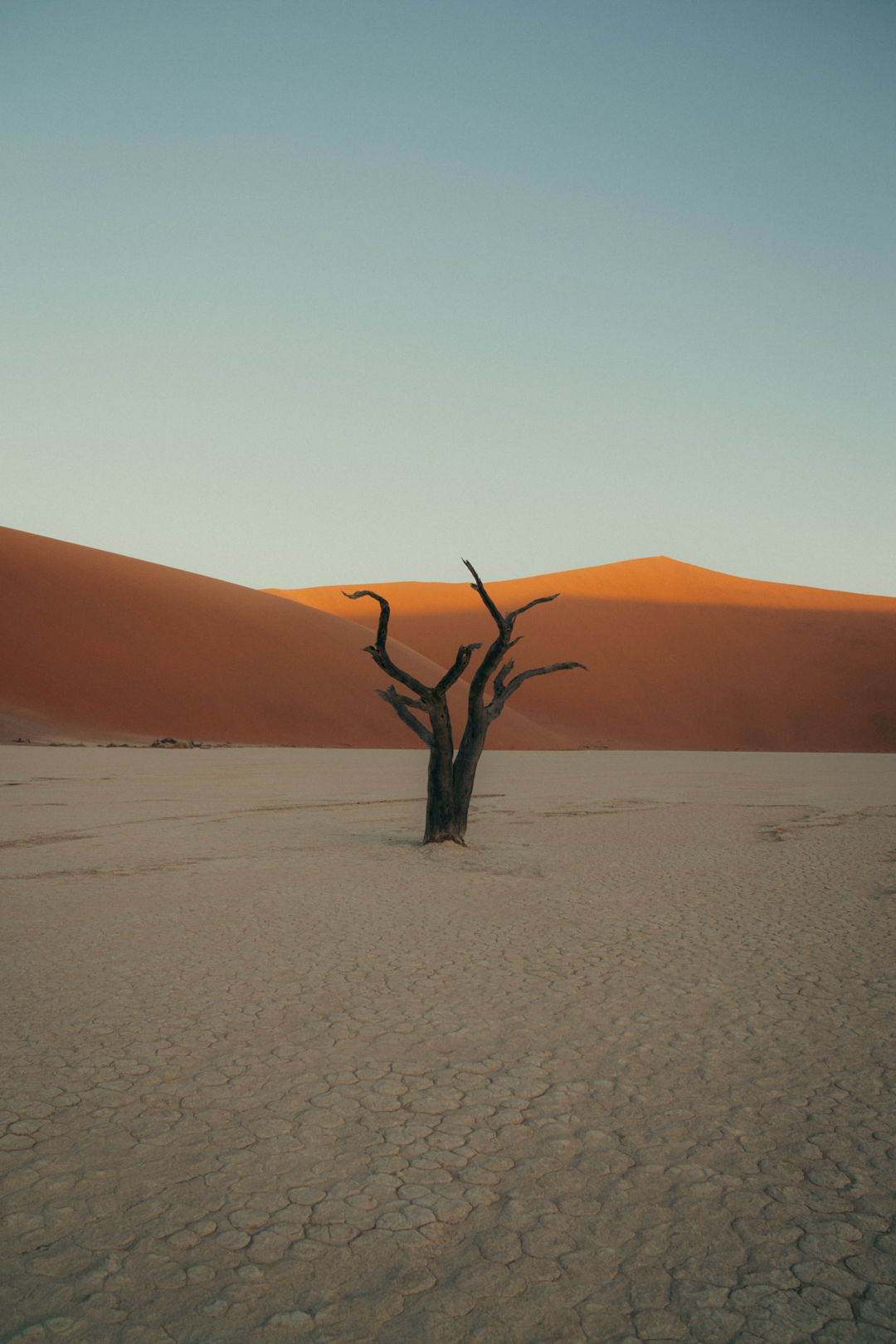 Each brand has a story to tell.